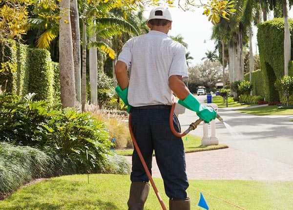 About Creekside PA Pest Control